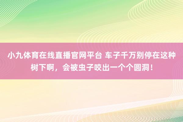 小九体育在线直播官网平台 车子千万别停在这种树下啊，会被虫子咬出一个个圆洞！