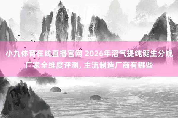 小九体育在线直播官网 2026年沼气提纯诞生分娩厂家全维度评测， 主流制造厂商有哪些