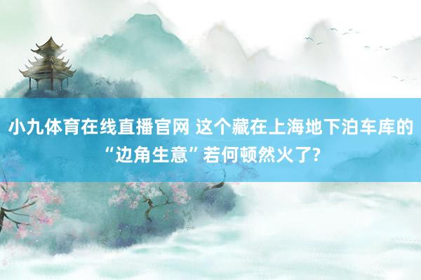 小九体育在线直播官网 这个藏在上海地下泊车库的“边角生意”若何顿然火了?