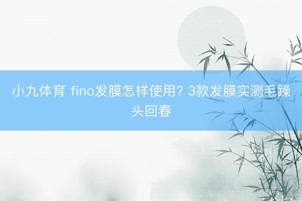 小九体育 fino发膜怎样使用? 3款发膜实测毛躁头回春