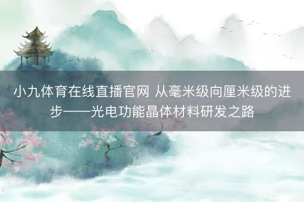 小九体育在线直播官网 从毫米级向厘米级的进步——光电功能晶体材料研发之路