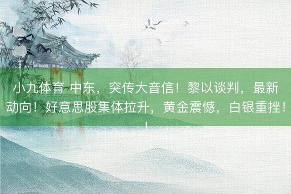 小九体育 中东,突传大音信!黎以谈判,最新动向!好意思股集体拉升,黄金震憾,白银重挫!