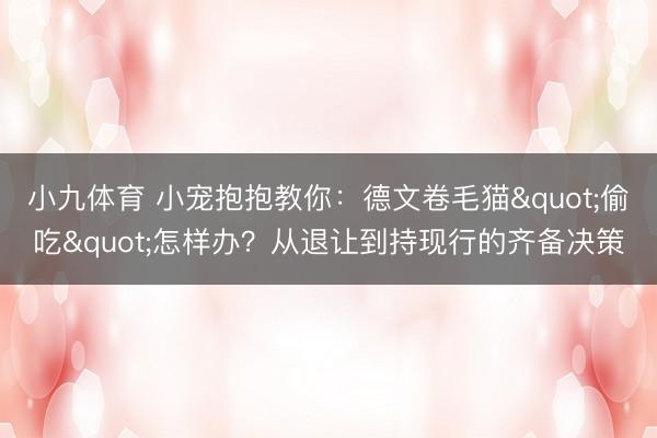 小九体育 小宠抱抱教你：德文卷毛猫"偷吃"怎样办？从退让到持现行的齐备决策