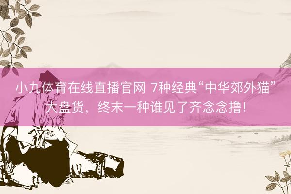 小九体育在线直播官网 7种经典“中华郊外猫”大盘货，终末一种谁见了齐念念撸！