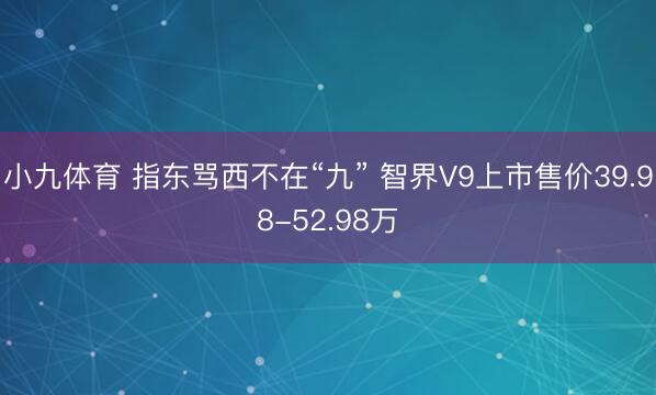 小九体育 指东骂西不在“九” 智界V9上市售价39.98-52.98万