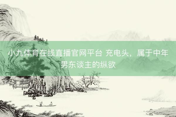 小九体育在线直播官网平台 充电头，属于中年男东谈主的纵欲