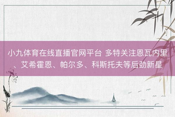 小九体育在线直播官网平台 多特关注恩瓦内里、艾希霍恩、帕尔多、科斯托夫等后劲新星