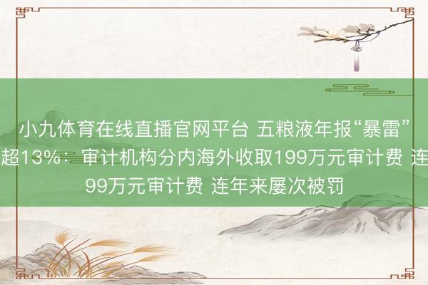小九体育在线直播官网平台 五粮液年报“暴雷”后市值缩水已超13%:审计机构分内海外收取199万元审计费 连年来屡次被罚