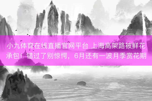 小九体育在线直播官网平台 上海高架路被鲜花承包！错过了别惊愕，6月还有一波月季赏花期