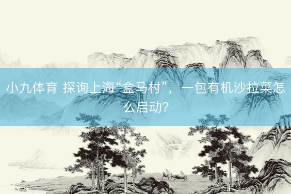 小九体育 探询上海“盒马村”,一包有机沙拉菜怎么启动?