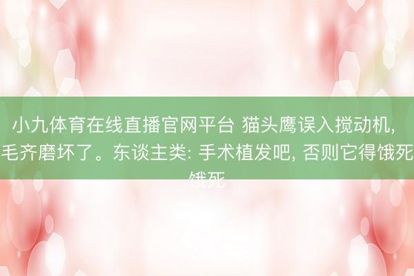 小九体育在线直播官网平台 猫头鹰误入搅动机， 毛齐磨坏了。东谈主类: 手术植发吧， 否则它得饿死