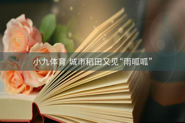 小九体育 城市稻田又见“雨呱呱”