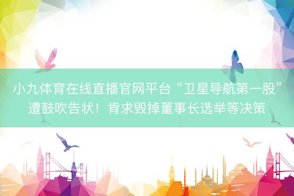 小九体育在线直播官网平台 “卫星导航第一股”遭鼓吹告状！肯求毁掉董事长选举等决策